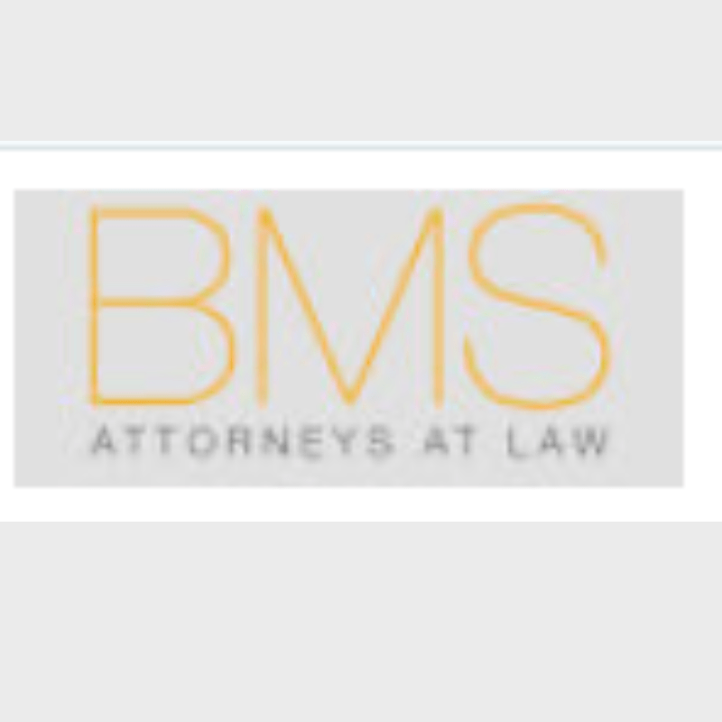 Mahomed Salek Attorneys